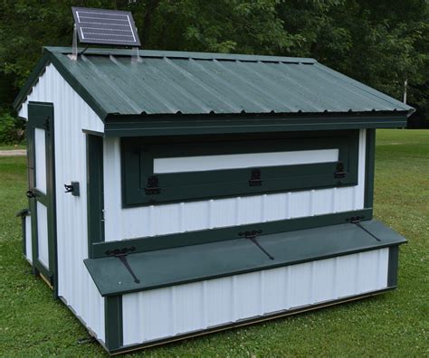 metal shed chicken coop